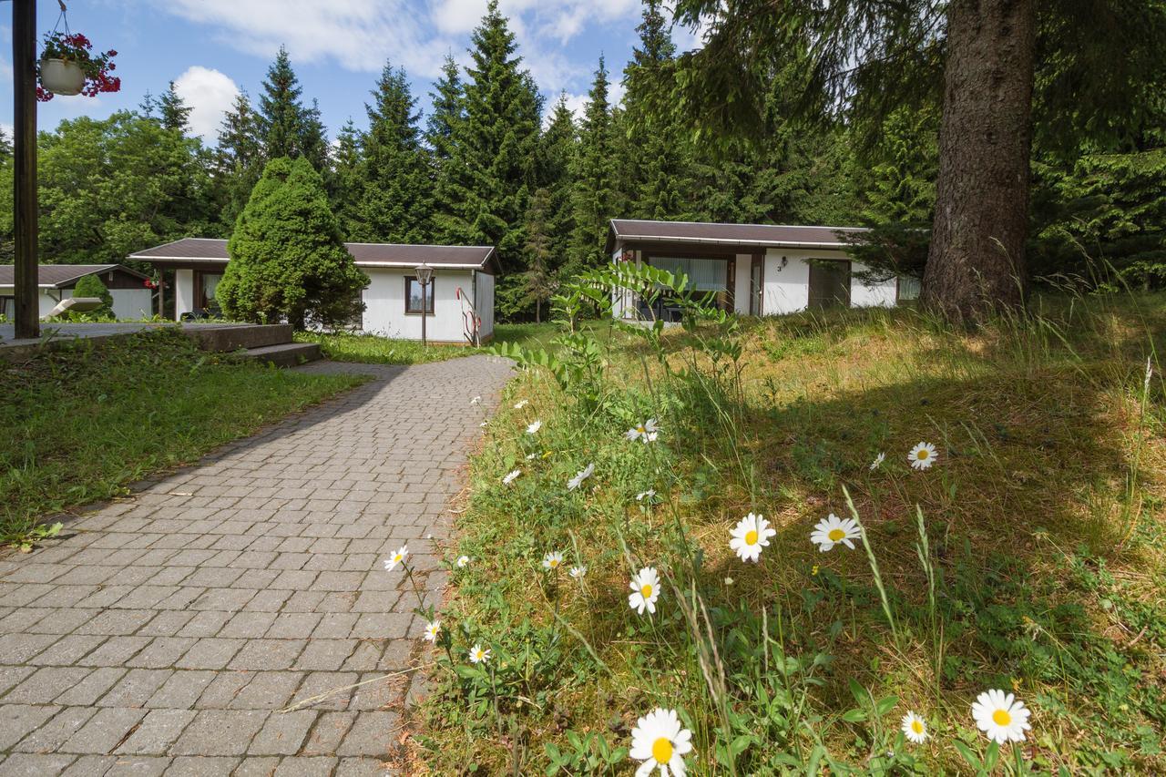 Waldhotel Rennsteighoehe Фрауэнвальд Экстерьер фото