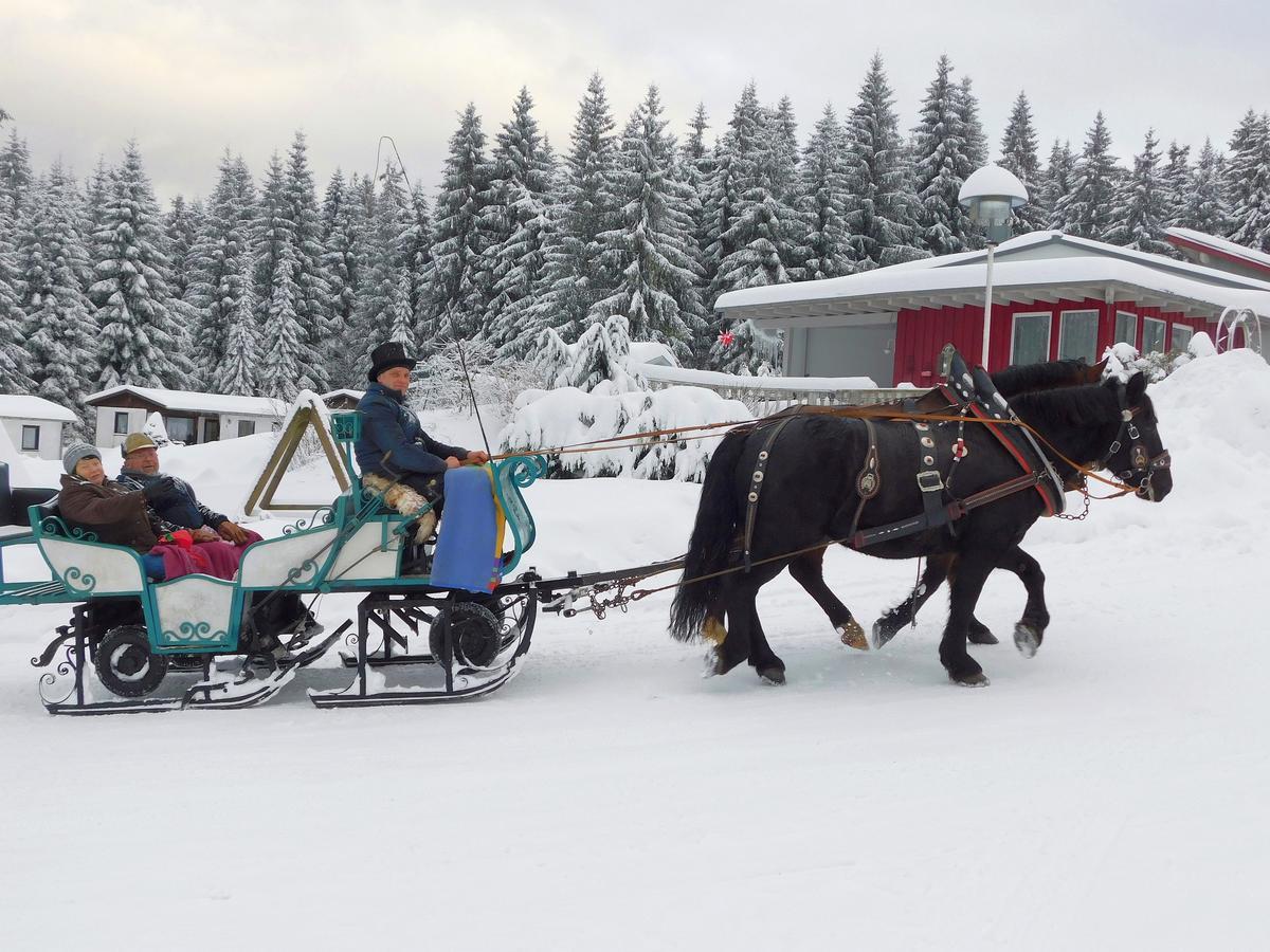 Waldhotel Rennsteighoehe Фрауэнвальд Экстерьер фото
