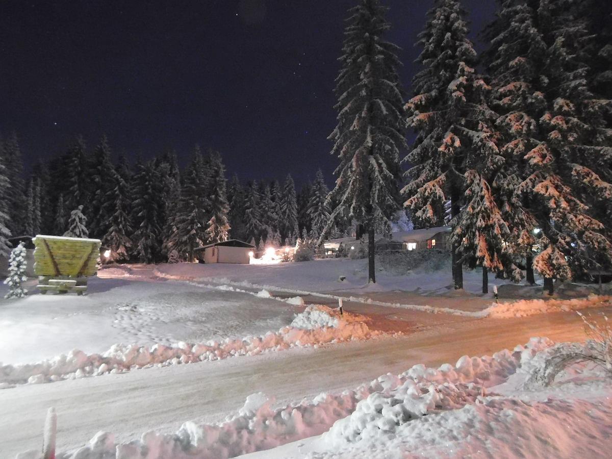 Waldhotel Rennsteighoehe Фрауэнвальд Экстерьер фото