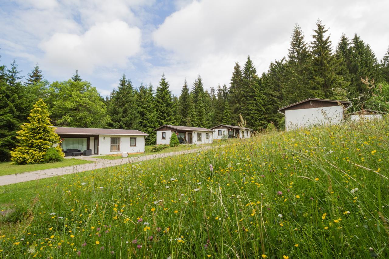 Waldhotel Rennsteighoehe Фрауэнвальд Экстерьер фото